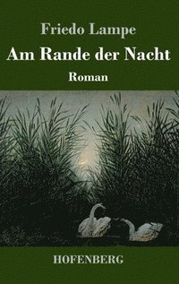 bokomslag Am Rande der Nacht