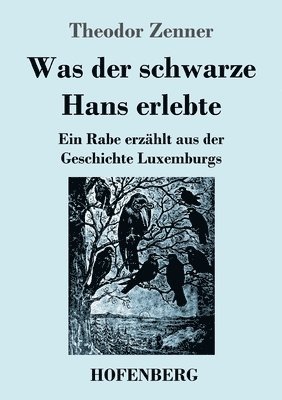 bokomslag Was der schwarze Hans erlebte