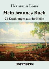 bokomslag Mein braunes Buch