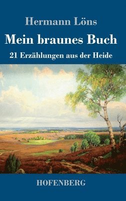 bokomslag Mein braunes Buch