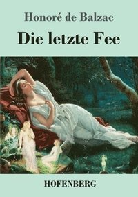 bokomslag Die letzte Fee