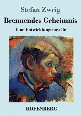 bokomslag Brennendes Geheimnis