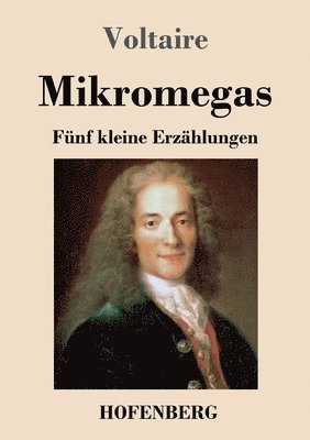 bokomslag Mikromegas