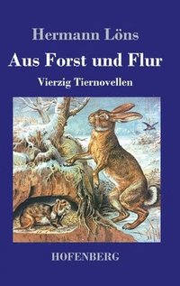 bokomslag Aus Forst und Flur
