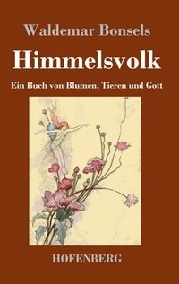 bokomslag Himmelsvolk