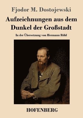 bokomslag Aufzeichnungen aus dem Dunkel der Großstadt