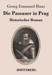 bokomslag Die Passauer in Prag