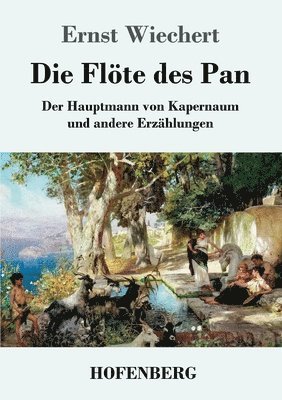 bokomslag Die Flte des Pan