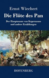 bokomslag Die Flte des Pan