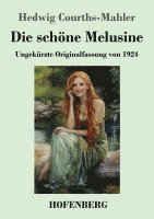 bokomslag Die schne Melusine