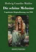 bokomslag Die schne Melusine