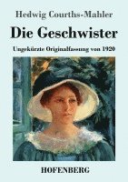 bokomslag Die Geschwister