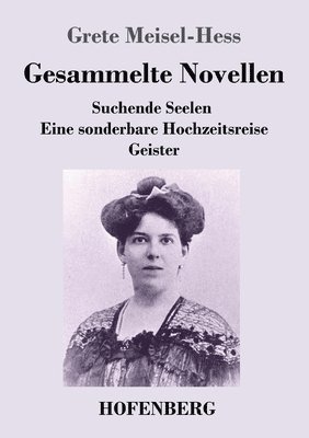 bokomslag Gesammelte Novellen