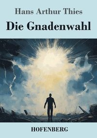 bokomslag Gnadenwahl