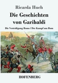 bokomslag Geschichten von Garibaldi