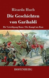 bokomslag Geschichten von Garibaldi
