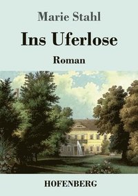 bokomslag Ins Uferlose: Roman