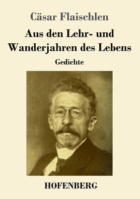 bokomslag Aus den Lehr- und Wanderjahren des Lebens