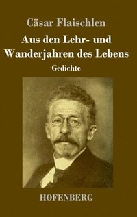 bokomslag Aus den Lehr- und Wanderjahren des Lebens