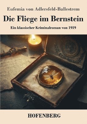 bokomslag Die Fliege im Bernstein