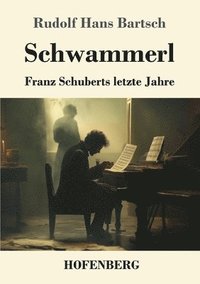 bokomslag Schwammerl: Franz Schuberts letzte Jahre