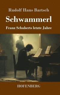 bokomslag Schwammerl: Franz Schuberts letzte Jahre