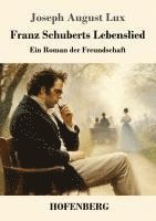 bokomslag Franz Schuberts Lebenslied