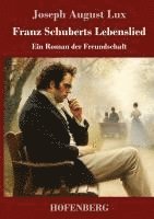 bokomslag Franz Schuberts Lebenslied