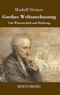 bokomslag Goethes Weltanschauung