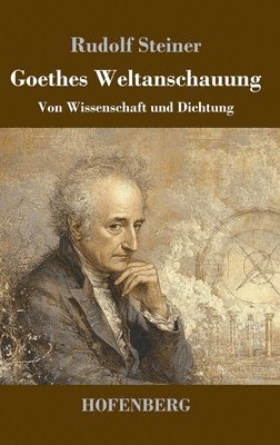 bokomslag Goethes Weltanschauung