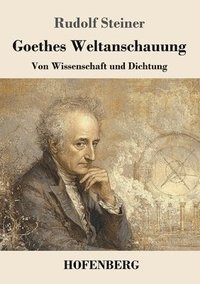 bokomslag Goethes Weltanschauung