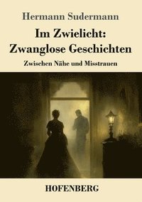bokomslag Im Zwielicht