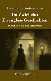 bokomslag Im Zwielicht