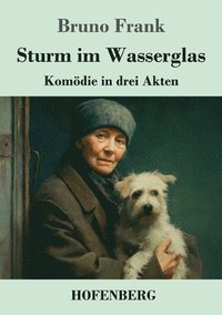 bokomslag Sturm im Wasserglas: Komödie in drei Akten