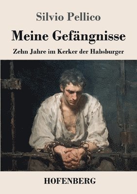 Meine Gefängnisse