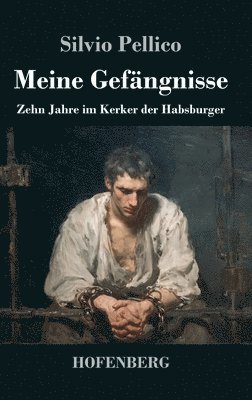 Meine Gefängnisse