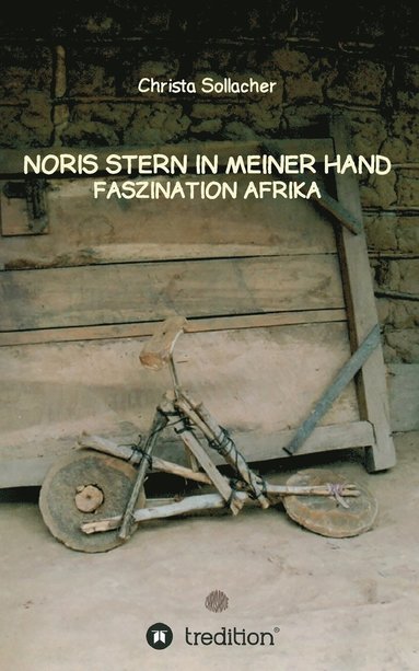 bokomslag Noris Stern in Meiner Hand