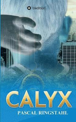 Calyx 1