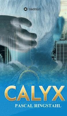 Calyx 1