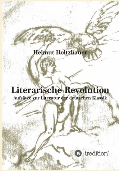 bokomslag Literarische Revolution