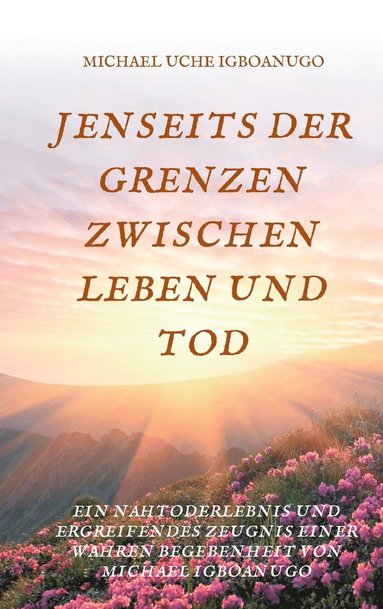 bokomslag Jenseits Der Grenzen Zwischen Leben Und Tod