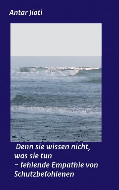 bokomslag Denn sie wissen nicht, was sie tun - fehlende Empathie von Schutzbefohlenen