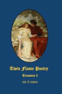 bokomslag Twin Flame Poetry