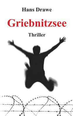 Griebnitzsee: Thriller 1