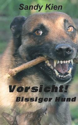 bokomslag Vorsicht, bissiger Hund!