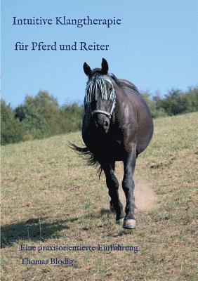bokomslag Intuitive Klangtherapie für Pferd und Reiter