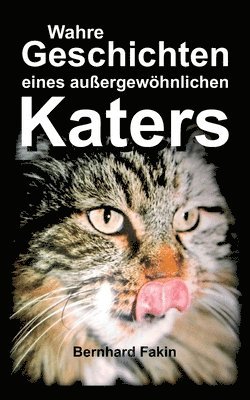 Bernhard Fakin - Wahre Geschichten eines aussergewöhnlichen Katers, Häftad