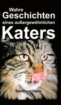 bokomslag Wahre Geschichten eines aussergewöhnlichen Katers