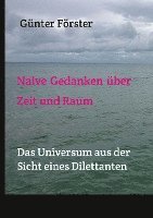 bokomslag Naive Gedanken über Zeit und Raum: Das Universum aus der Sicht eines Dilettanten