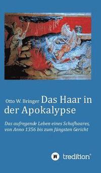 bokomslag Das Haar in der Apokalypse: Das aufregende Leben eines Schafhaares von Anno 1356 bis zum Jüngsten Gericht.